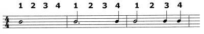 whole, half and dotted half notes